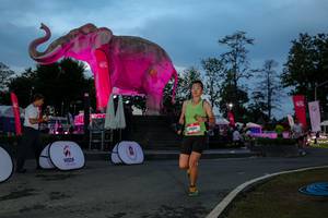 BIB: 
                            <button type="button" onclick="openModal(26529702)" class="btn btn-primary btn-sm float-right btn-popup" data-toggle="modal" data-target=".modal-high-quality">
                        <i class="fas fa-shopping-cart"></i> Add to Cart
                    </button>
                                            <button type="button" onclick="isThisMe(26529702, true)" class="btn btn-success btn-sm float-right btn-popup btn-isme hidden" data-toggle="tooltip" data-placement="bottom" title="นี่คือรูปของคุณใช่ไหม คลิกที่นี่เพื่อเอาเข้าอัลบั้ม">
                        <i class="fas fa-plus"></i> Add to album
                    </button>
                    <button type="button" onclick="isThisMe(26529702, false)" class="btn btn-warning btn-sm float-right btn-popup btn-isnotme hidden">
                        <i class="fas fa-ban"></i> Remove from album
                    </button>